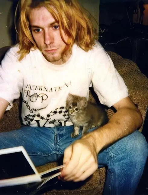 Kurt Cobain Cat