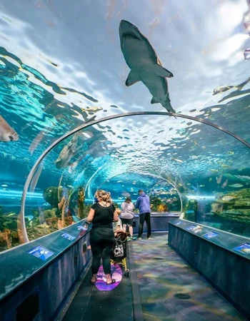 Ripley's Aquarium Toronto