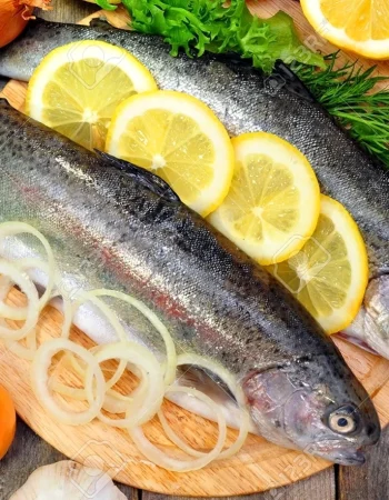 Alabalık Karelian Rainbow