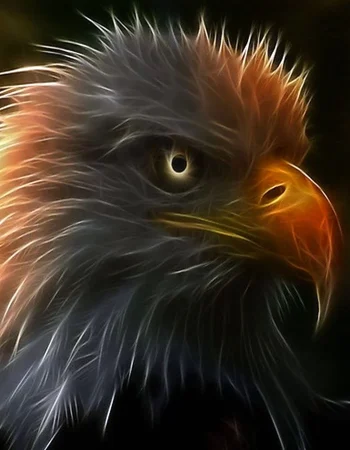 Eagle art