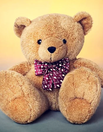 Teddy Bear