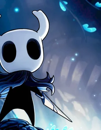 Bardun Hollow Knight