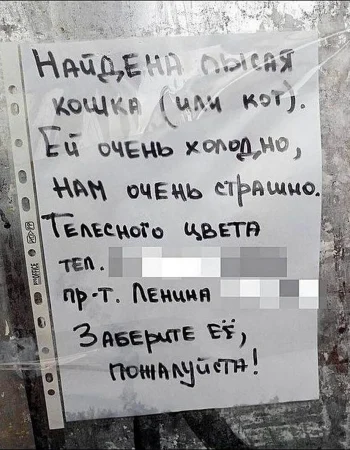 Qiziqarli reklamalar