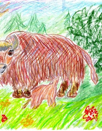 BISON bepul mavzuda