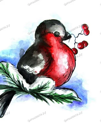 Snowman and Bullfinch watercolor