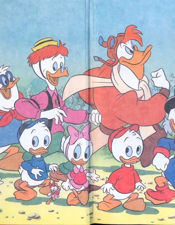 DuckTales 1987 Donald