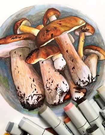 Sketching champignons