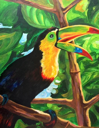 Toucan art acrylic