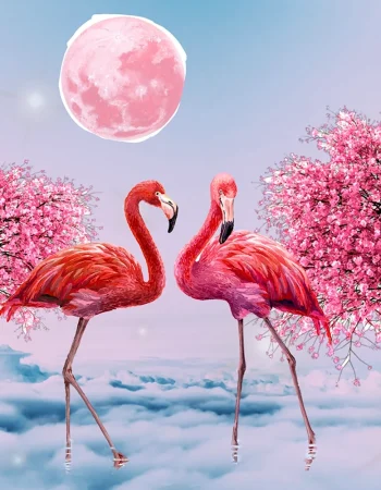 Flamingo