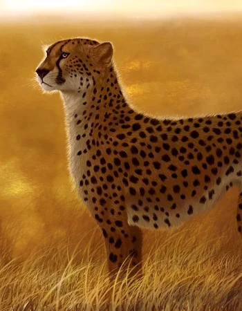 Savannadagi gepard