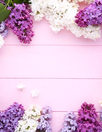 Lilac Flowers