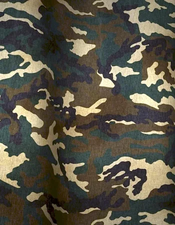 Woodland Camo Background