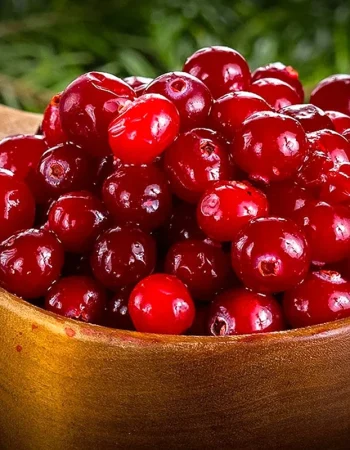 Cranberry berry