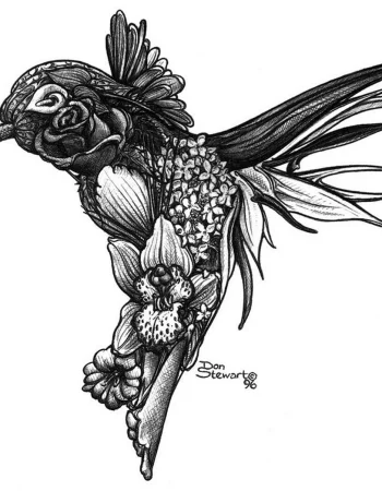 Hummingbird tattoo sketches