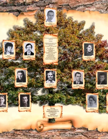 Shezhere Family Tree