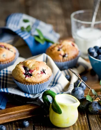 Blueberry Cupcake