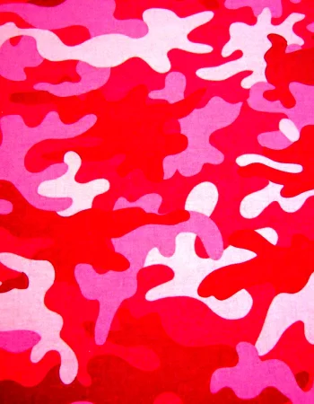 Bape pink camo