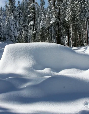 Snowdrifts