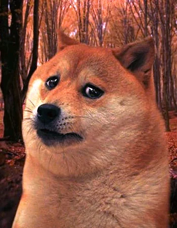 Sad Doge