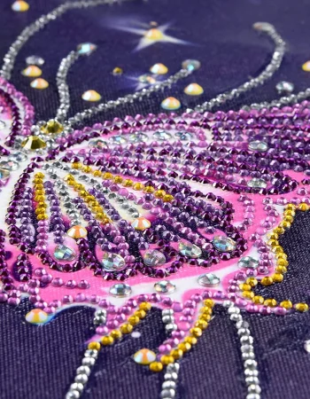 Rhinestones bilan kapalaklar bilan rasmlar