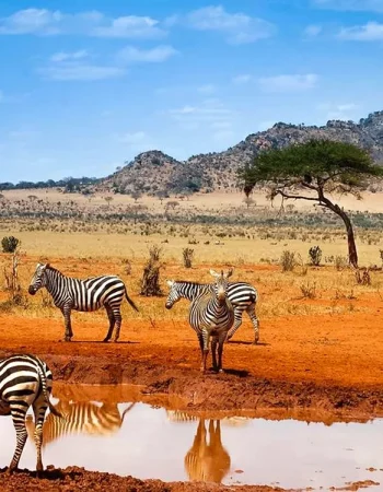 Afrika Nayrobi safari