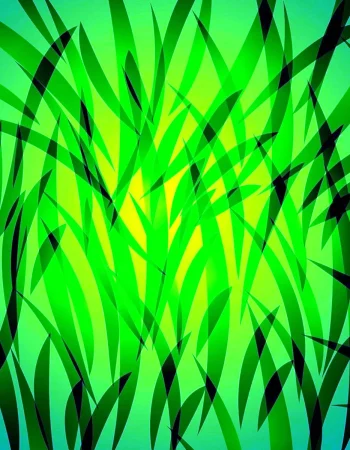 Grass abstraction