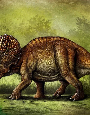 Triceratops horridus